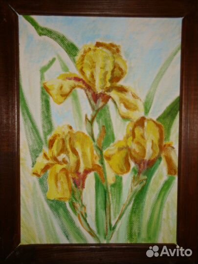Картины Ирисы