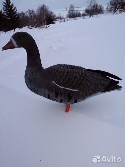 Чучела белолобого гуся Sport Plast DLX940+баул