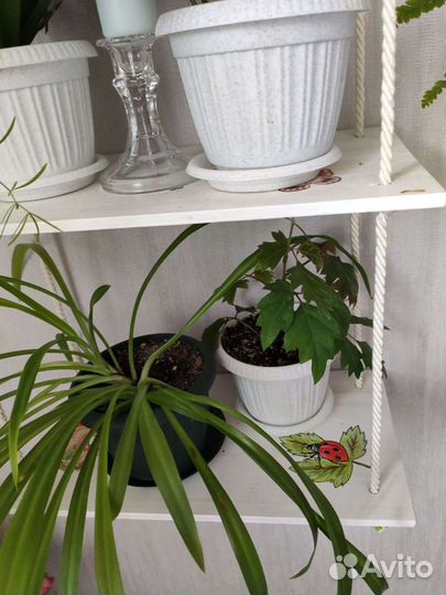 Подвесные полки