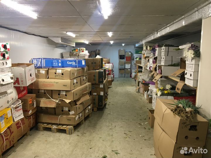 Тюльпаны на 8 марта оптом