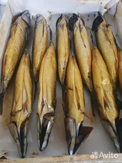 Рыба холодного копчения, вяленная в ассотрименте