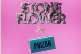 Захар Stone Flower Store