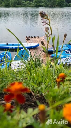 Сап аренда SUP