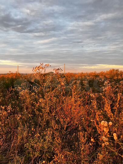 Участок 10 сот. (ИЖС)