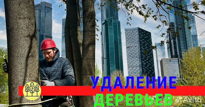 Спил деревьев Корчевка Расчистка участков