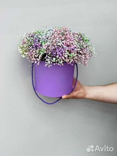 Гипсофила с доставкой