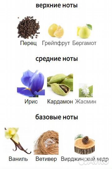 Carner Barcelona D 600 eau de parfum