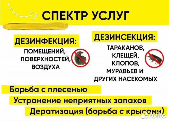 Уничтожение тараканов клопов Дезинфекция Травля