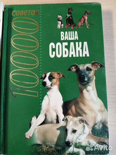Книга Ваша собака. 1000 советов