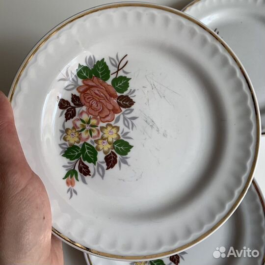 Тарелки пфз (СССР)