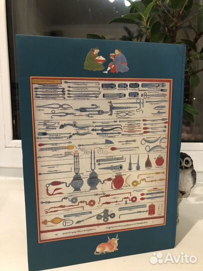 Тбетская медицина