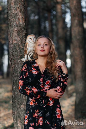 Репетитор online. Русский яз. огэ,егэ, 1-11 классы