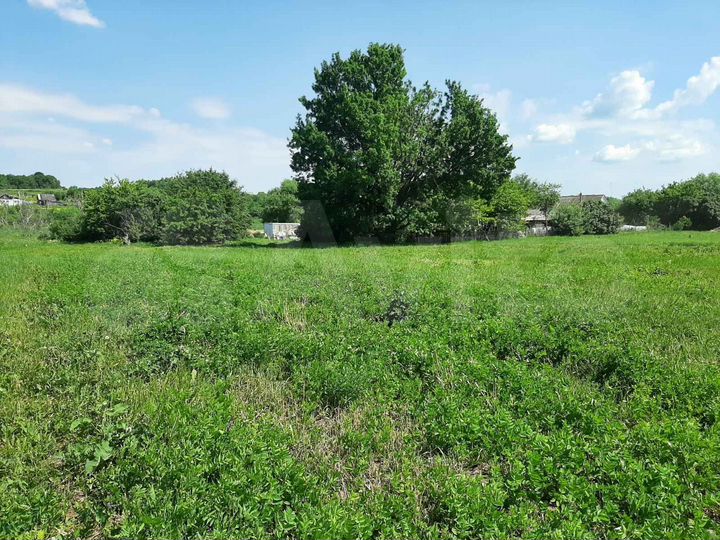 Участок 19 сот. (ИЖС)