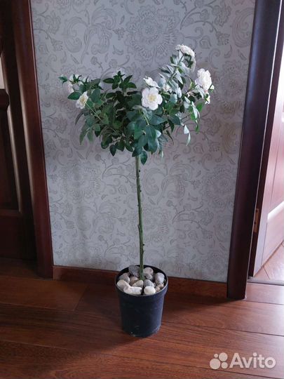 Искусственные цветы роза IKEA