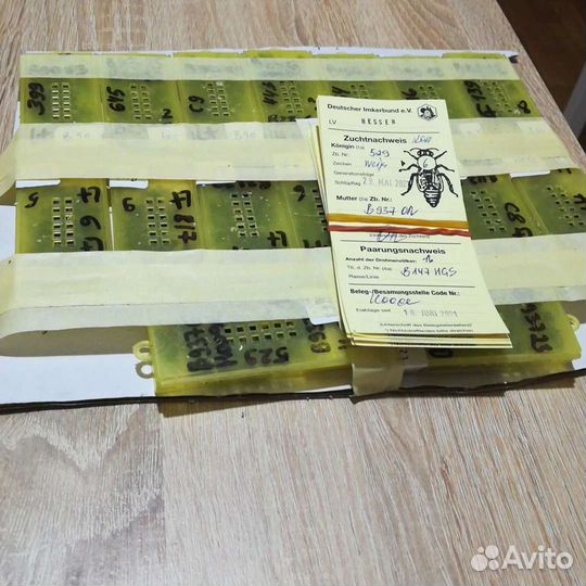 Пчеломатки из Германии