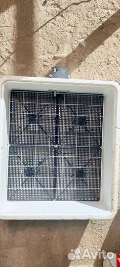 Инкубатор для яиц