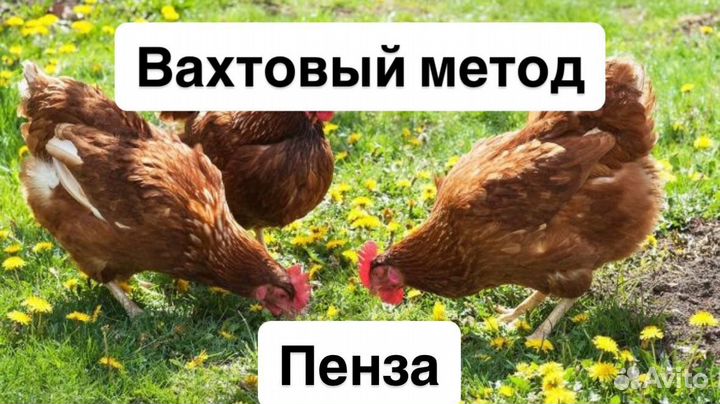 Разнорабочий на вахту Пенза. Питание/проживание