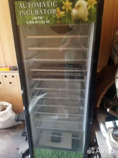 Инкубатор для яиц автоматический бу