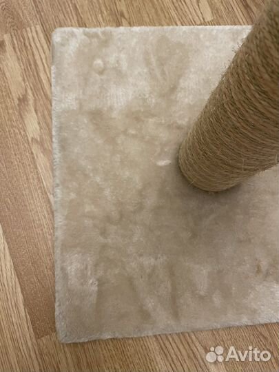 Когтеточка