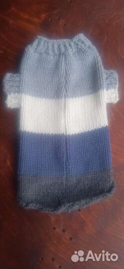 Тёплый свитер для сфинкса