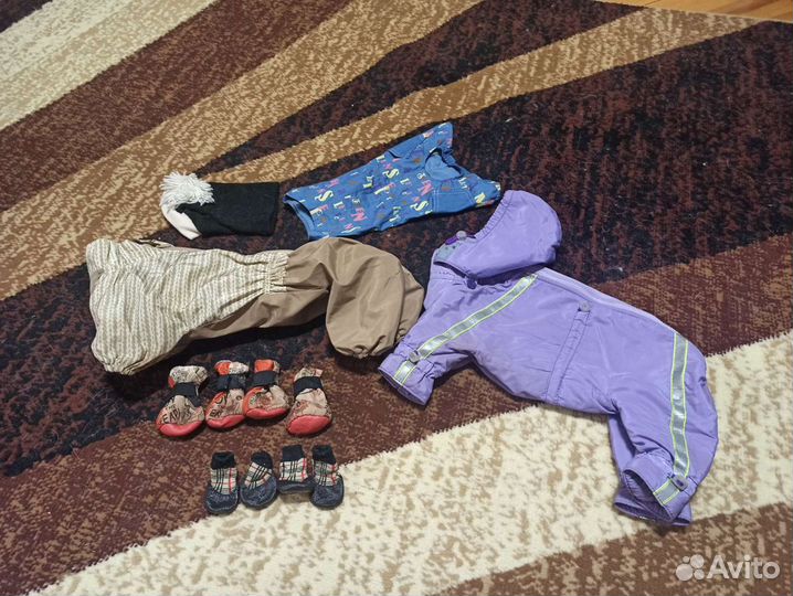 Сумка переноска для собаки, одежда для собаки