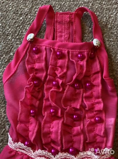 Одежда для собак