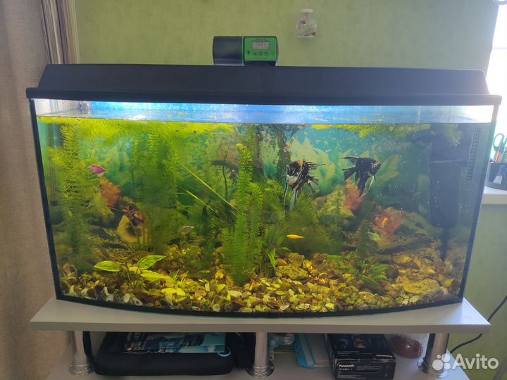 Аквариум с рыбками