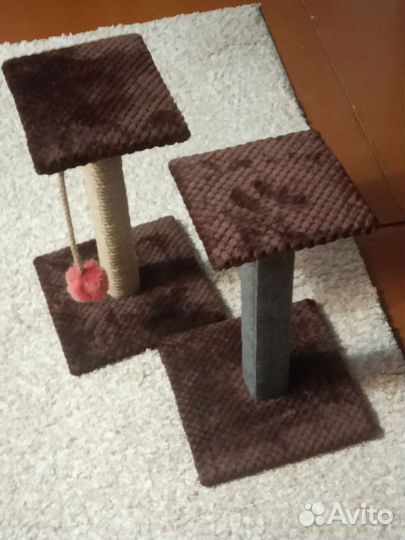 Когтеточка