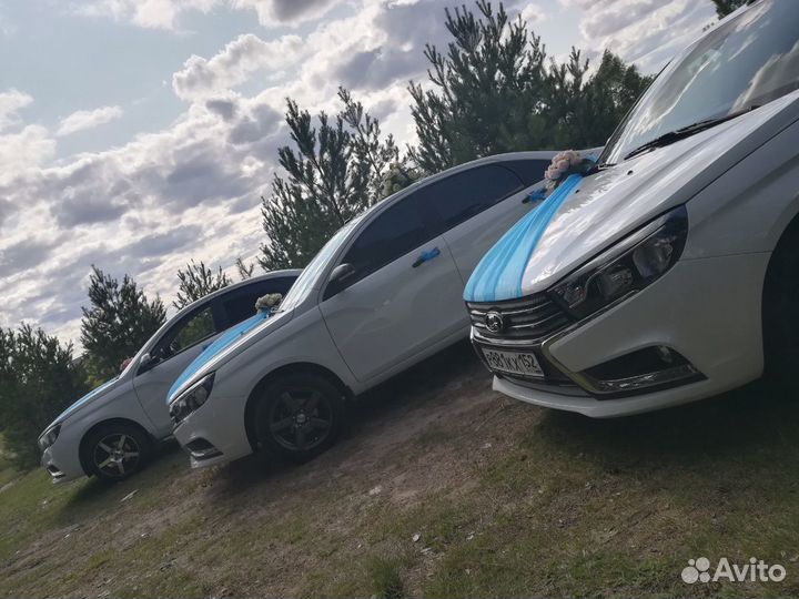 Свадебный кортеж