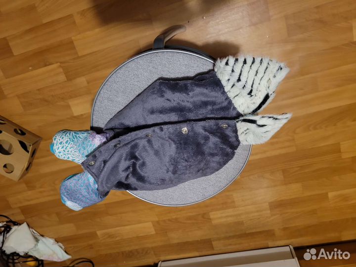 Одежда для маленьких собак