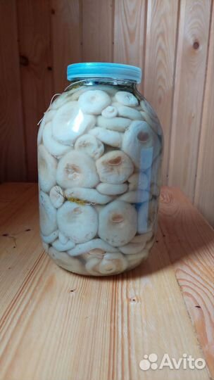 Белые грузди