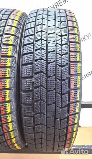 Dunlop Winter Maxx WM01 205/55 R16 95W