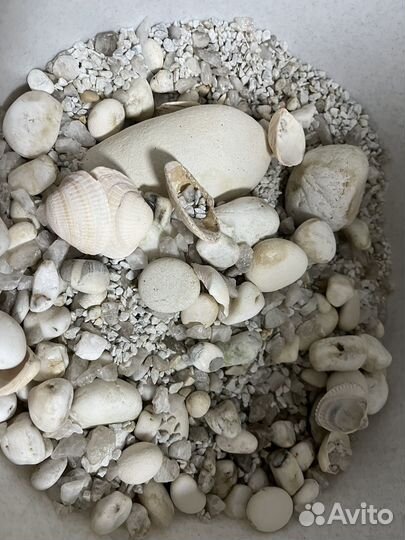 Камни для аквариума