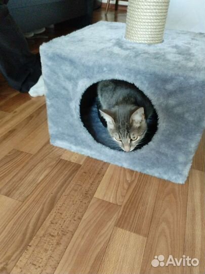Домик лежанка для кошки