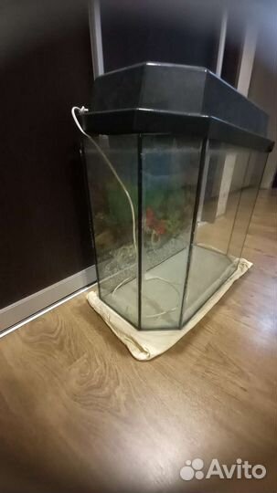 Аквариум