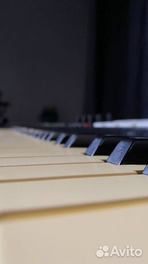 Миди клавиатура M-audio Oxygen 61 MK IV