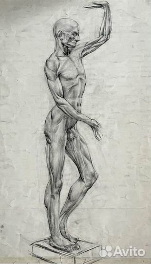 Уроки рисования.Репетитор