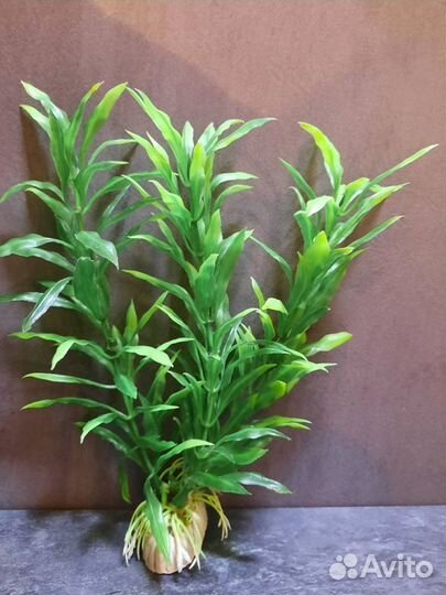 Искусственные растения