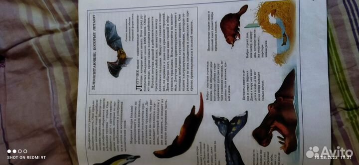 Большая детская энциклопедия