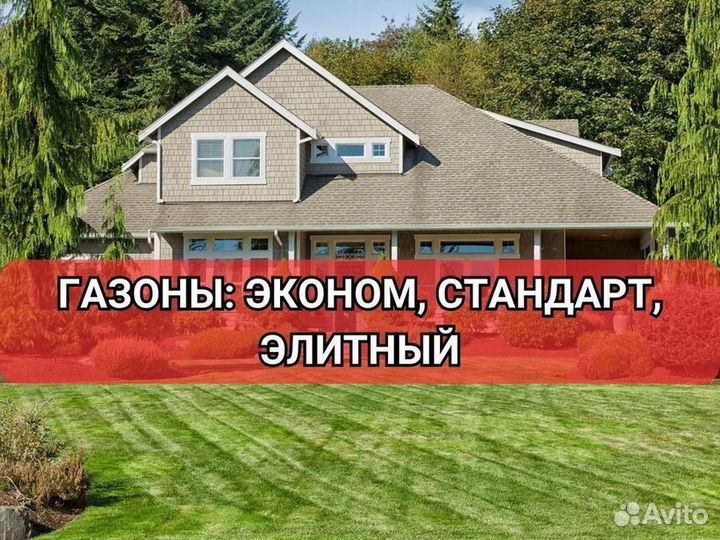 Рулонные газоны