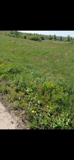 Участок 50 сот. (ИЖС)