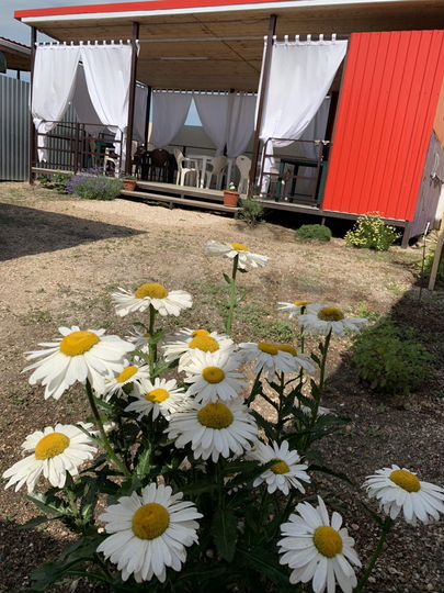 Дом 20 м² на участке 8 сот.