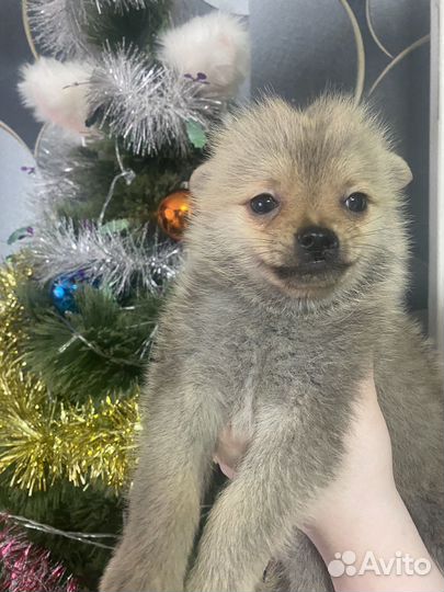 Особенный малыш