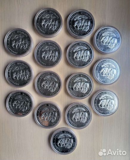 Серебряная инвестиционная монета в капсуле 1 кг