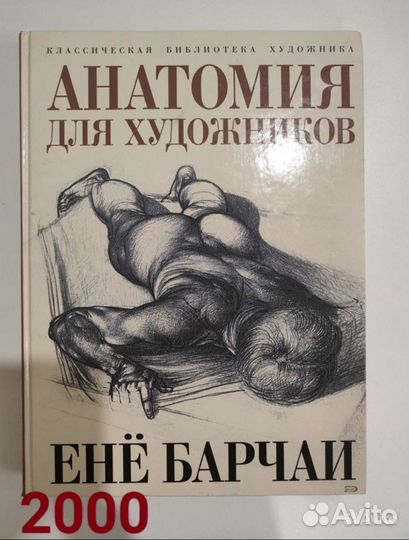 Анатомия для художников