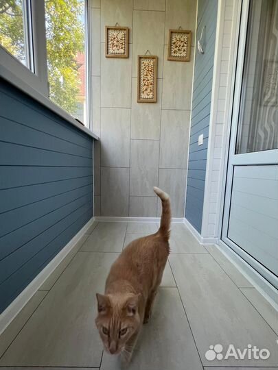 Обшивка балконов и лоджий