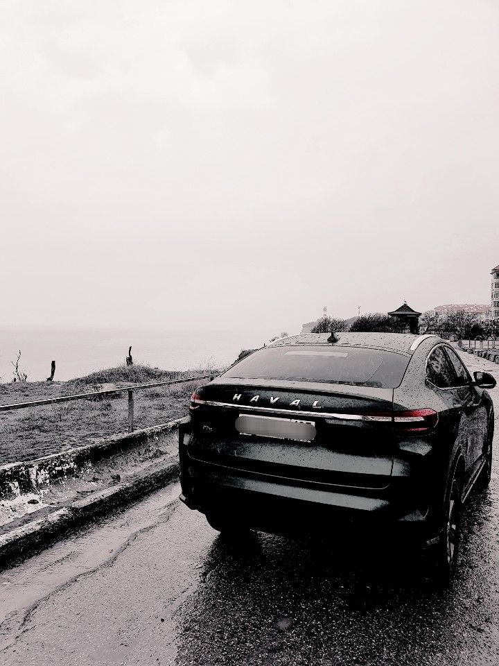 HAVAL F7x: фото владельца