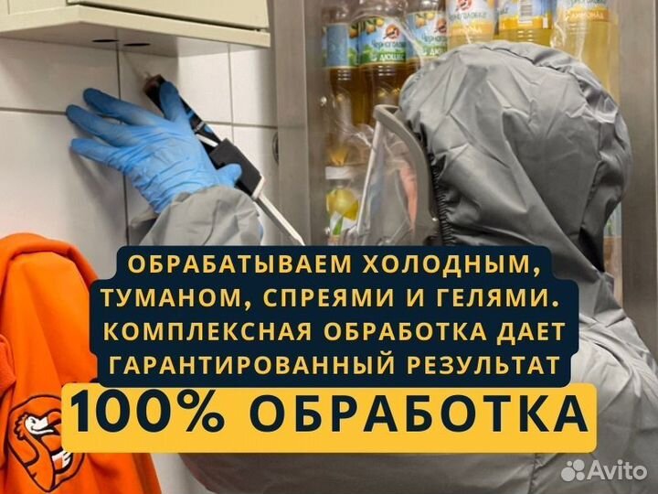 Уничтожение тараканов Уничтожения клопов
