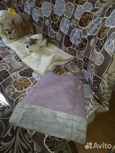 Лежанки для маленьких собак и кошек