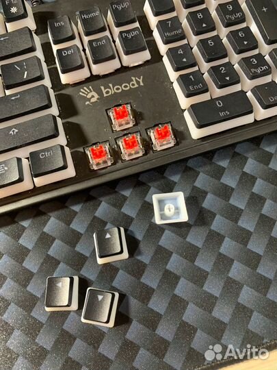 Клавиатура Bloody s510np